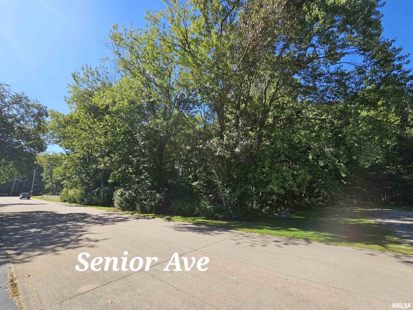 TBD Senior Avenue, Vienna, IL