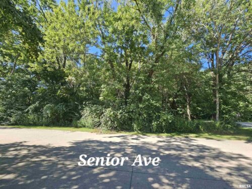 TBD Senior Avenue, Vienna, IL