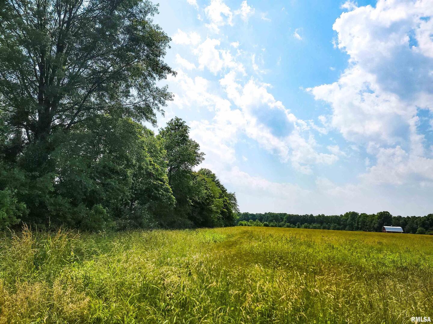 199 Hanging Rock Road, Flora, IL