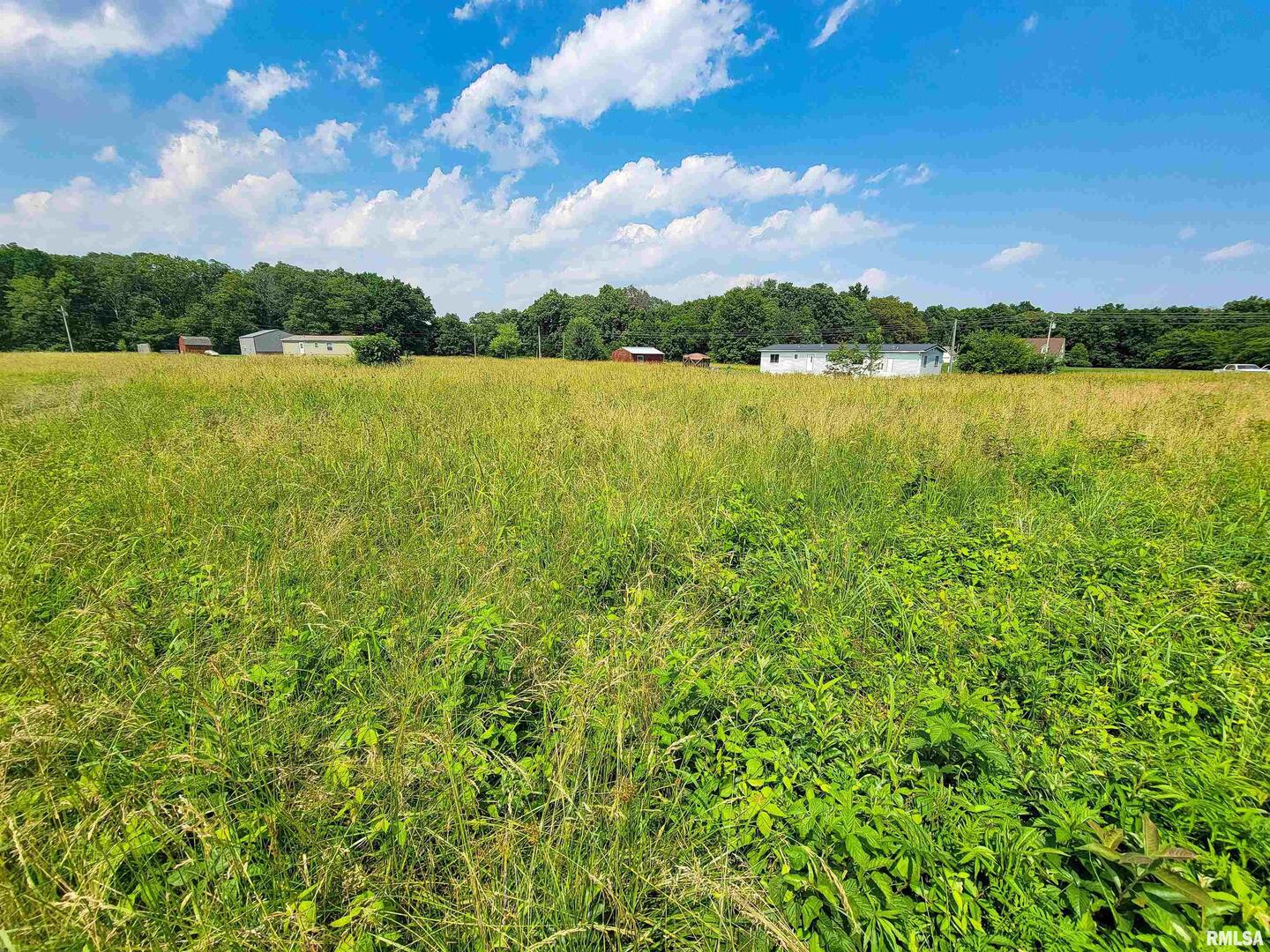 199 Hanging Rock Road, Flora, IL