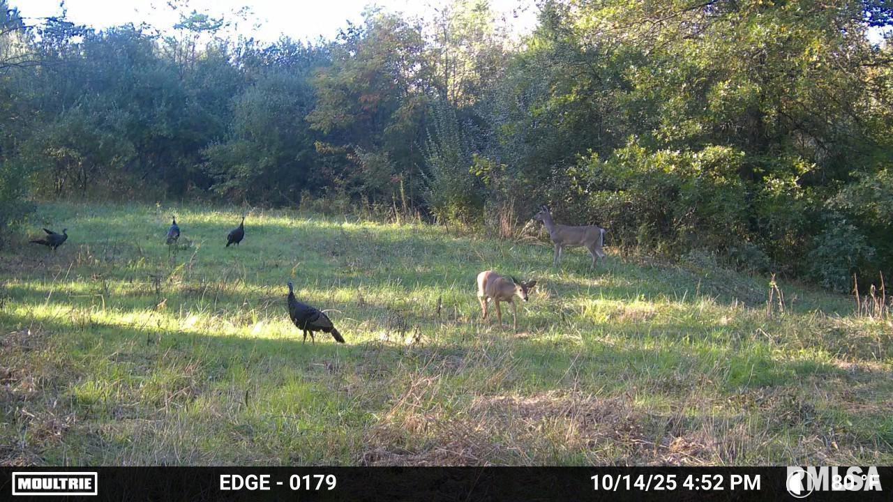 19168 COUNTY LINE Road, Jonesboro, IL