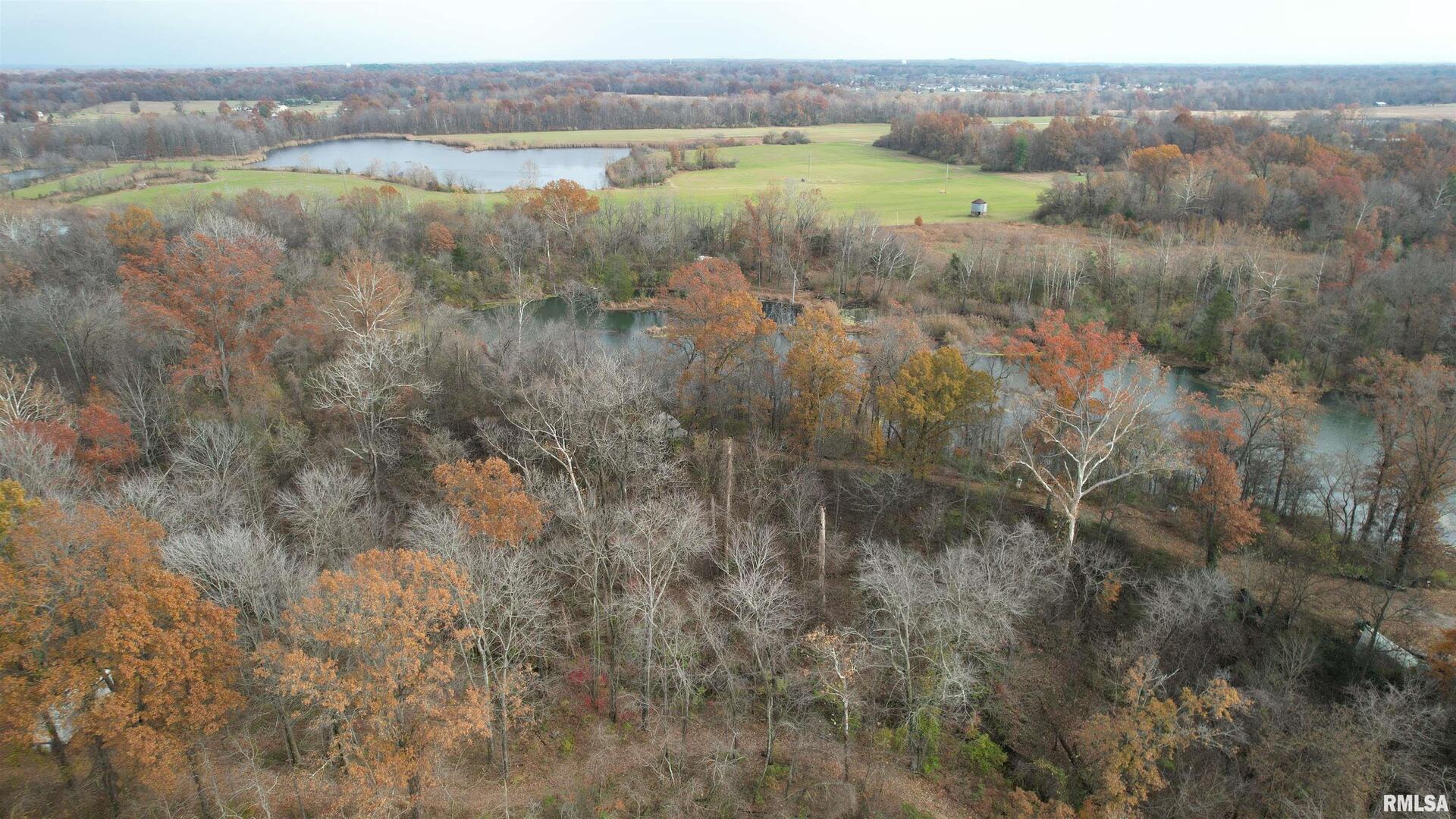208 Dewmaine Road, Cartervill, IL