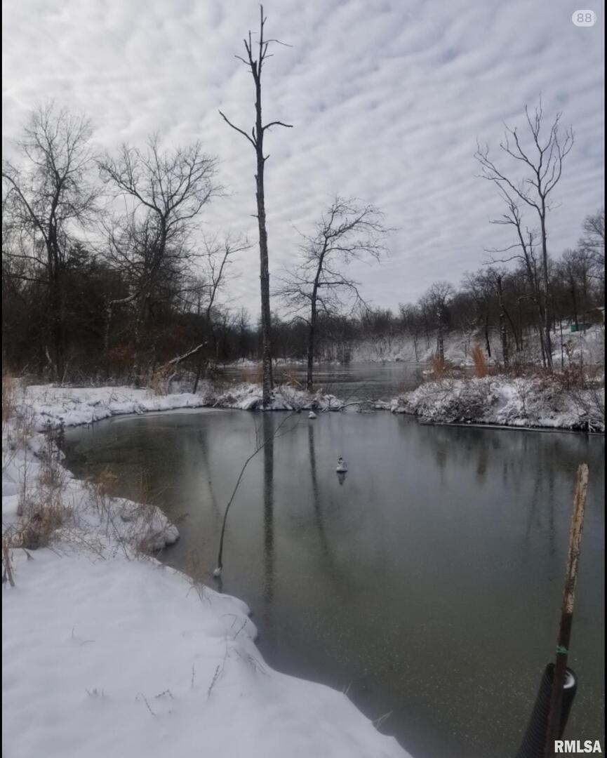 208 Dewmaine Road, Cartervill, IL