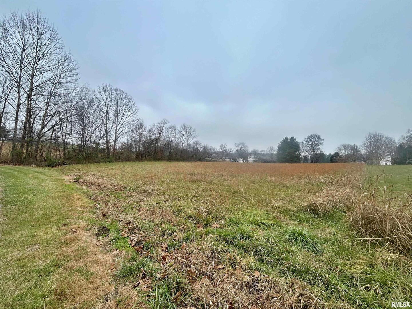 Sub #2 Lot 19 Cypress Valley Lane, Vienna, IL