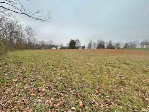 Sub #2 Lot 19 Cypress Valley Lane, Vienna, IL