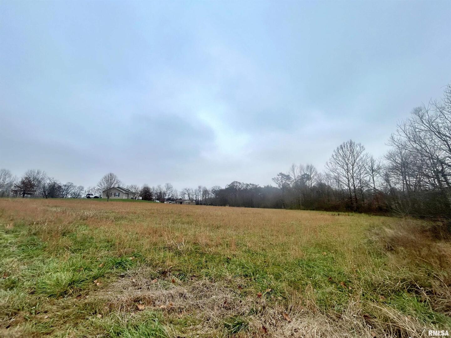 Sub #2 Lot 19 Cypress Valley Lane, Vienna, IL