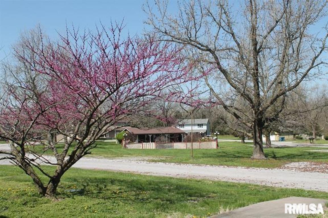 34 VILLAGE Drive #1, Carbondale, IL