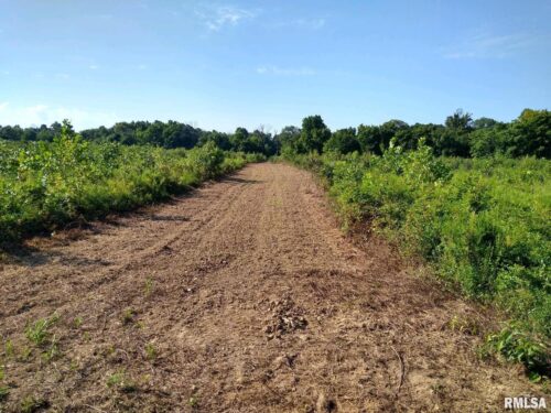 39 Bushwack Road, Golconda, IL