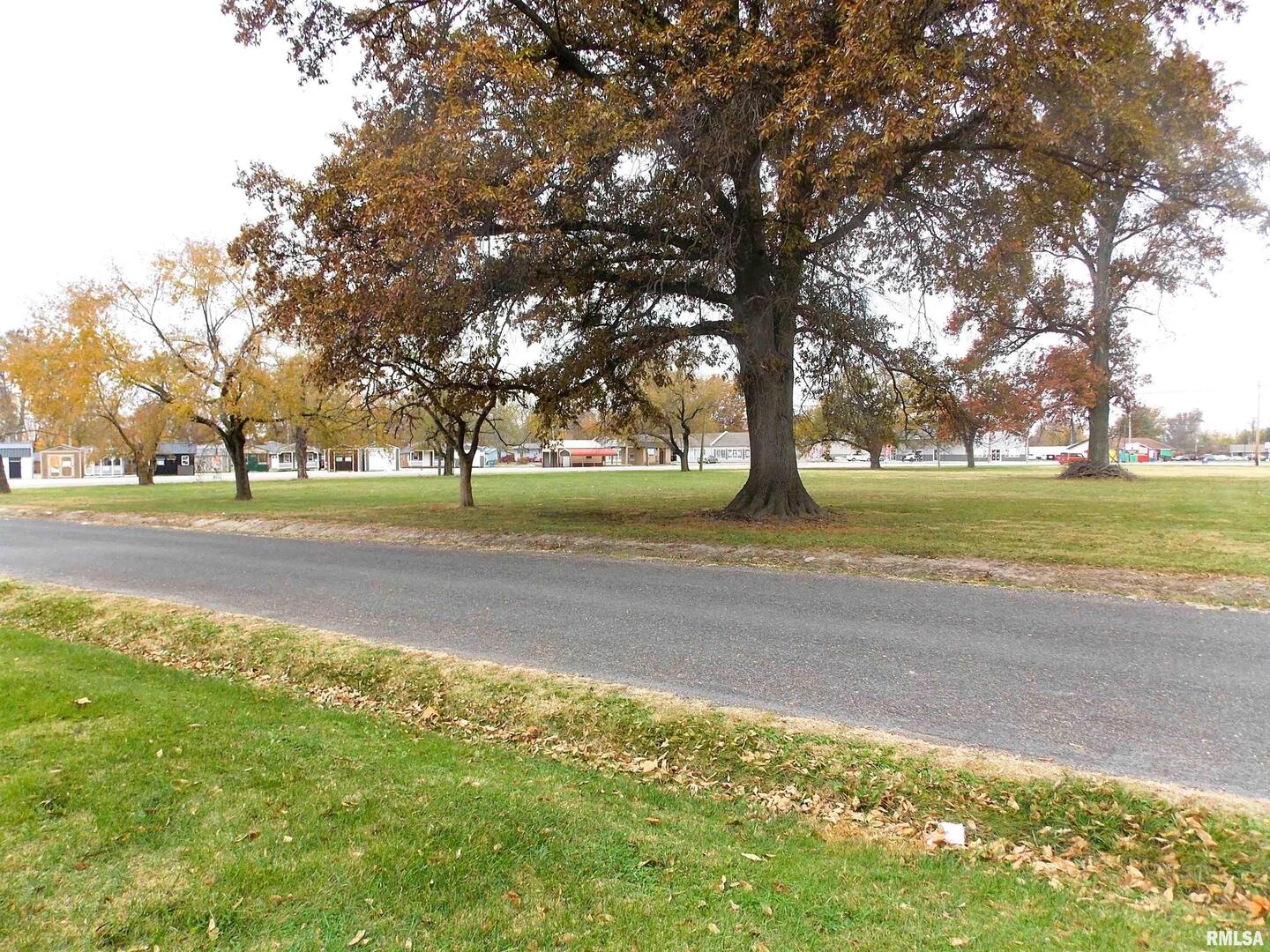 36 Buena Vista Terrace Terrace #P.O., Centralia, IL