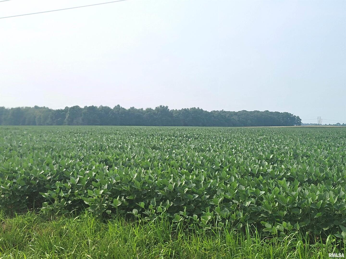 Gravel Lane, Louisville, IL
