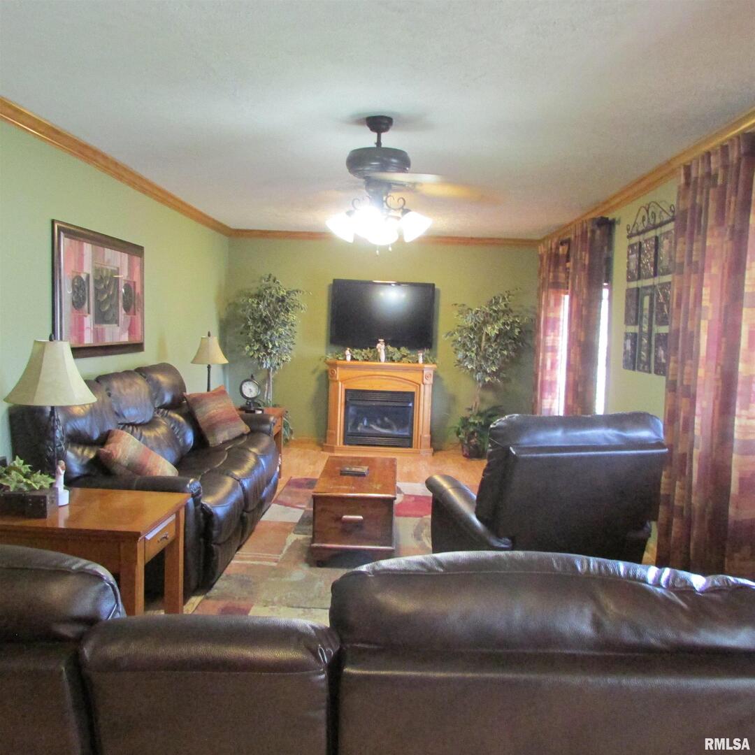 273 W McClernand Avenue, Shawneetwn, IL