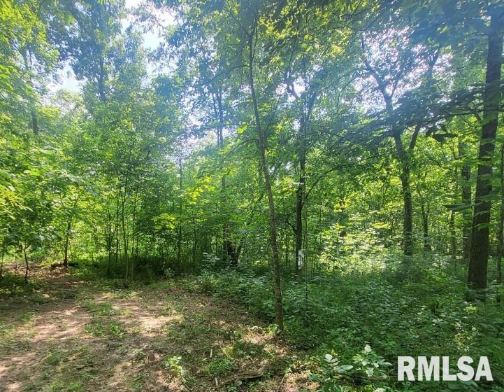 1252 IL-15 Highway, Fairfield, IL