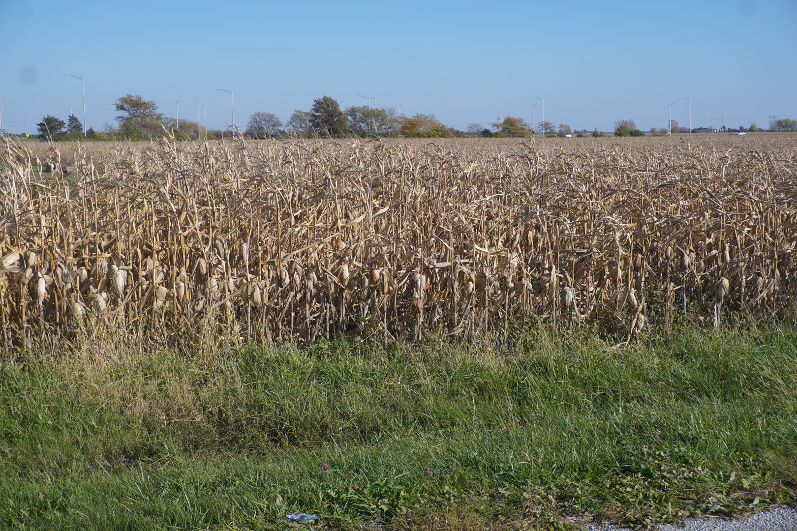 Sec7 Twp26N R10E Road, Gilman, IL