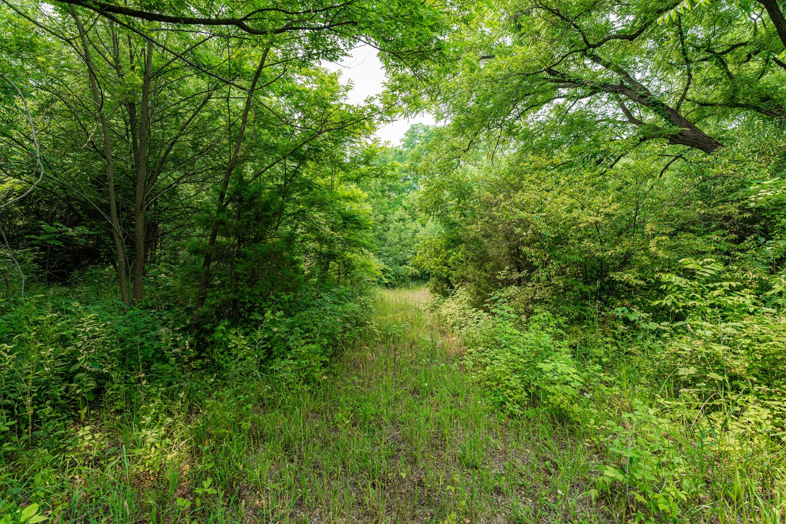 5N024 Route 31, St. Charles, IL