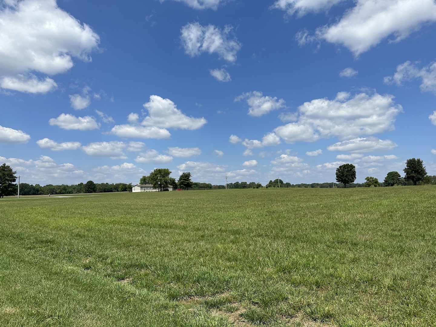 15316 E HOLLAND Drive, Mt Vernon, IL