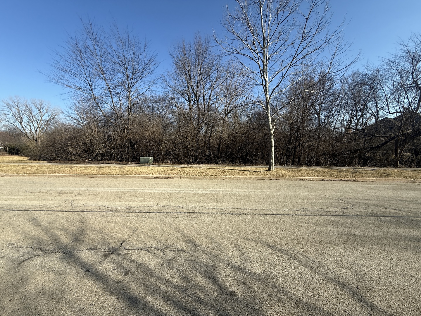 21405 S Woodland Way, Shorewood, IL