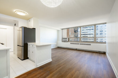 3950 N Lake Shore Drive #1527, Chicago, IL