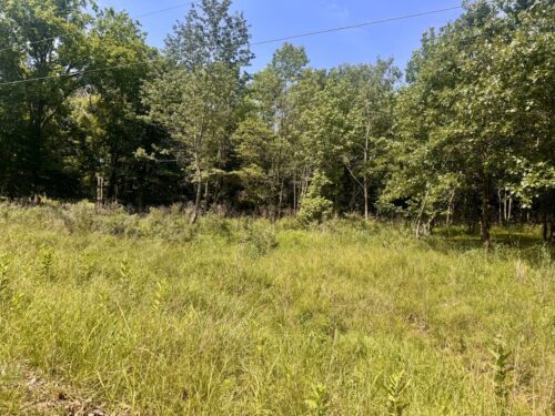 000 Shawnee Drive, Goreville, IL