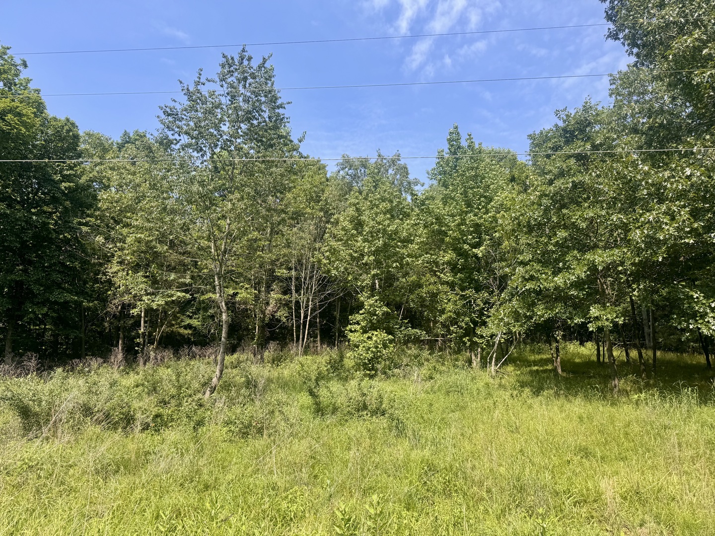 000 Shawnee Drive, Goreville, IL