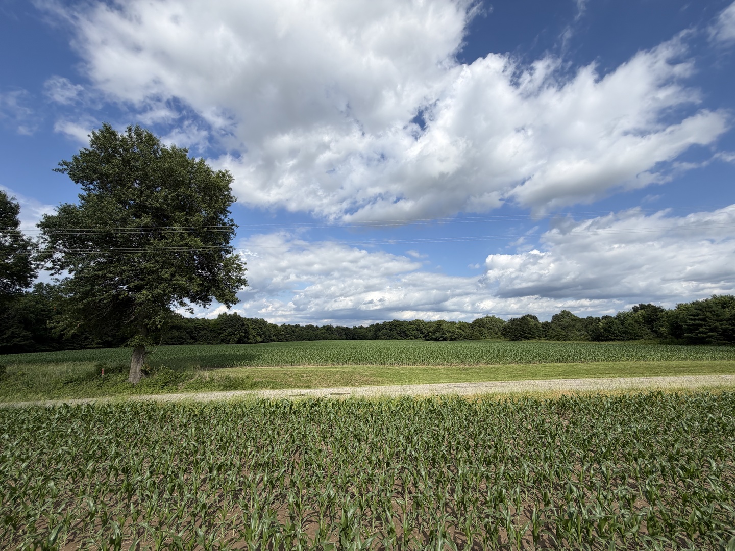 Landmark Road, Iuka, IL