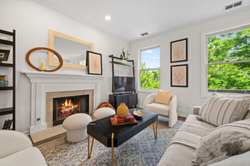 1123 W Altgeld Street #3, Chicago, IL