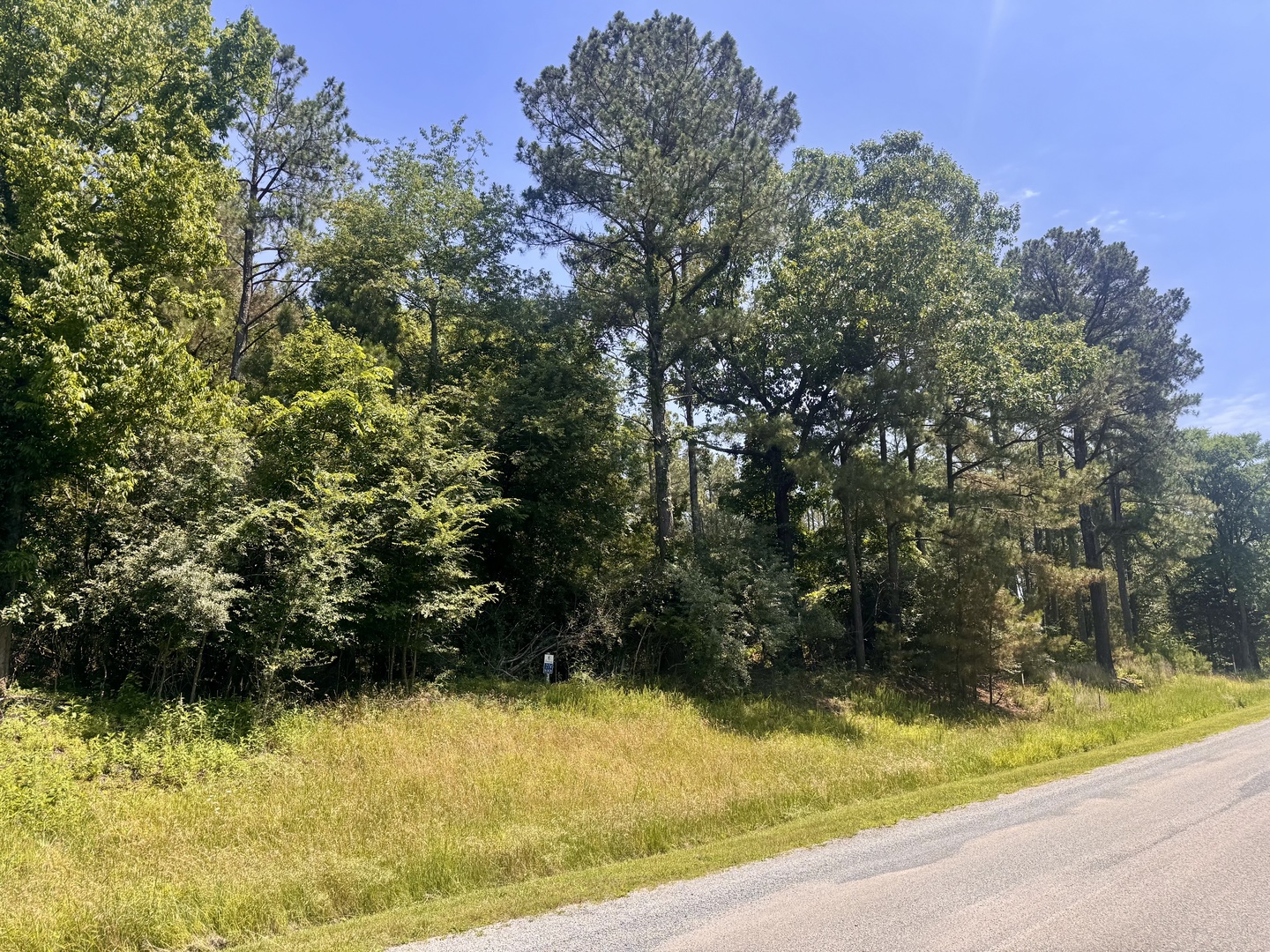 Lot 273 & 274 Rocky Point Road, Goreville, IL