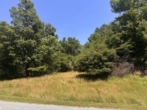 Lot 273 & 274 Rocky Point Road, Goreville, IL