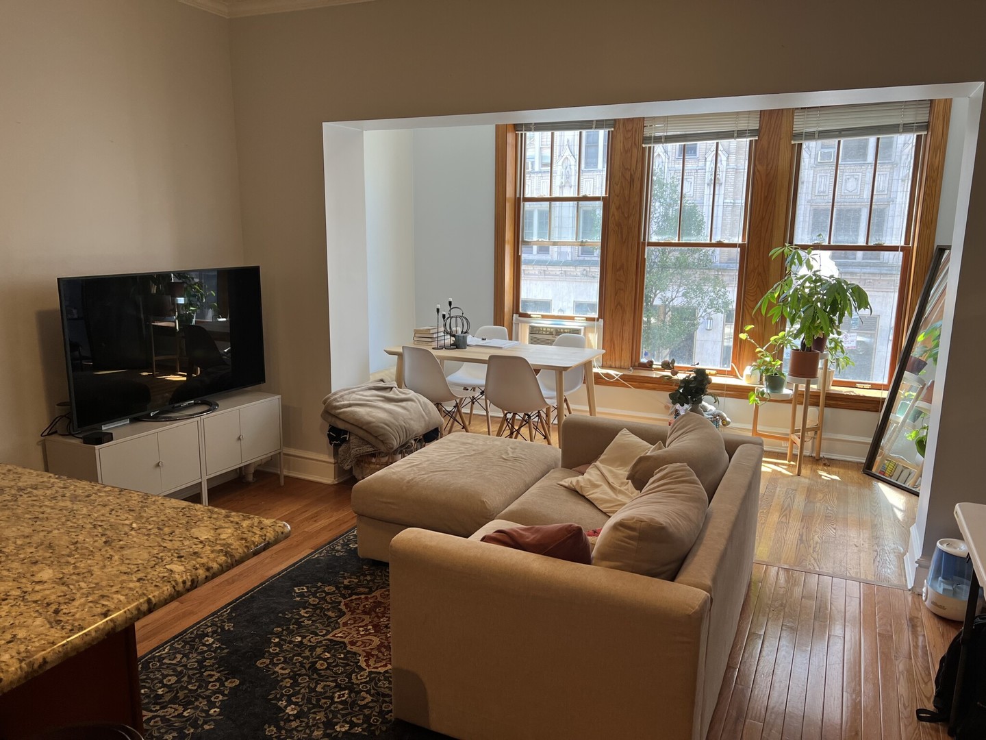 1042 W Bryn Mawr Avenue #3, Chicago, IL