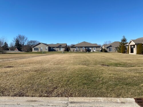 916 Lange Avenue, Beecher, IL