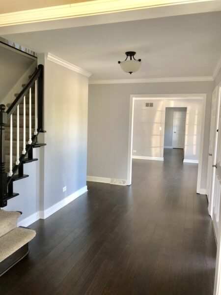 10S450 Windjammer Lane, Naperville, IL