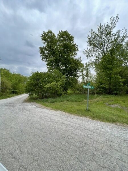 22839 Woodlawn Avenue, Steger, IL