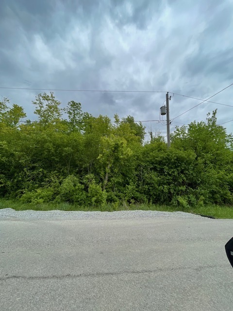22839 Woodlawn Avenue, Steger, IL
