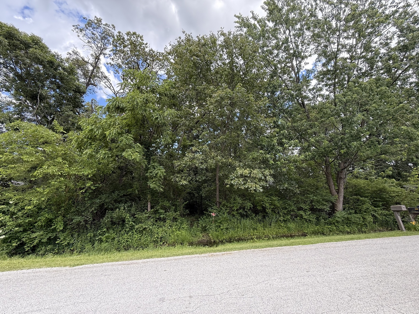 35841 S Jay Drive, Custer Park, IL