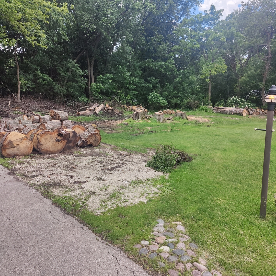 436 Millard Avenue, Crystal Lake, IL